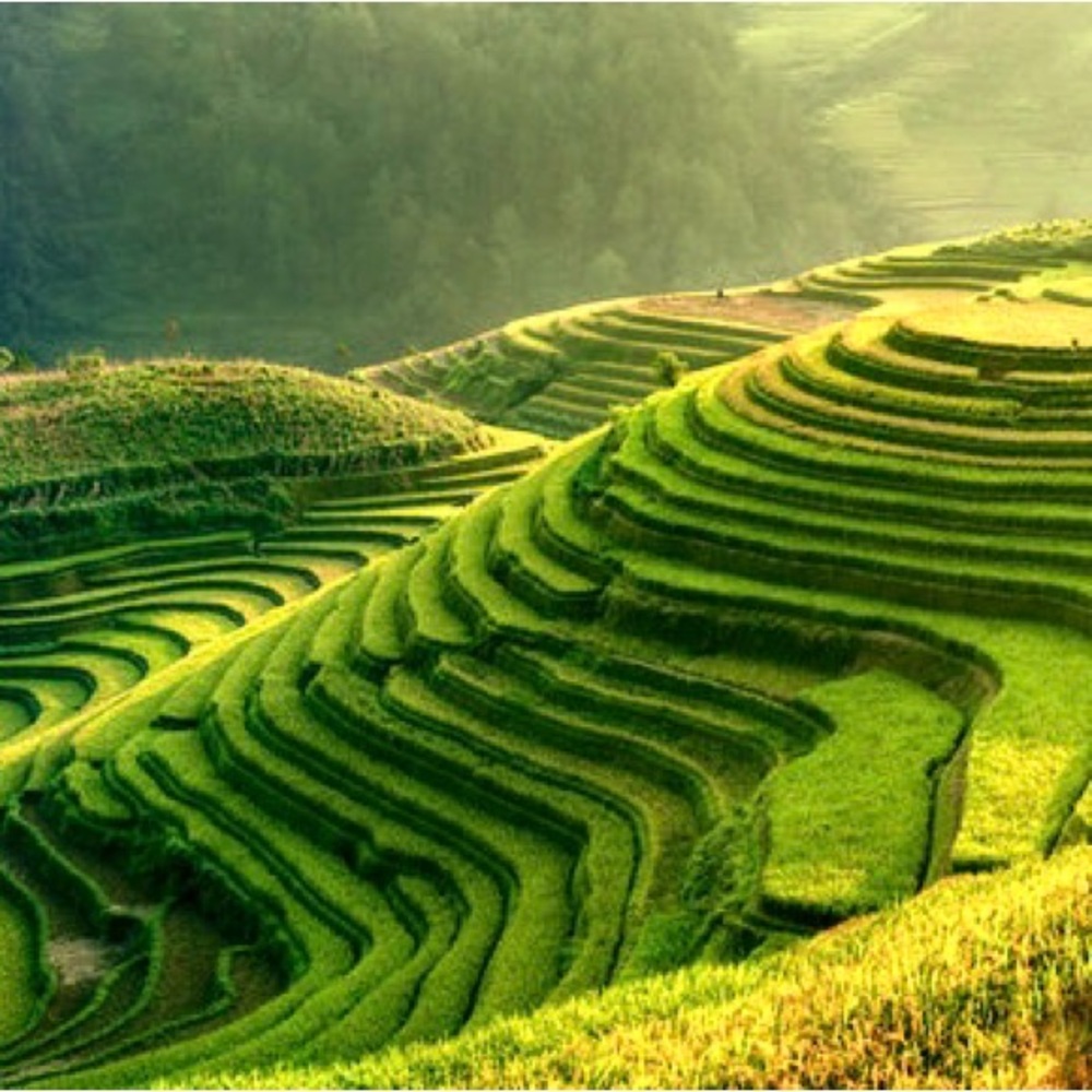 πΌπΎπ΄πΌπΎπ΄πΌπΎπ΄πΌπΎπ΄πΌπΎπ΄πΌπΎπ΄ - Picture 4 of 8